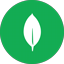 MongoDb